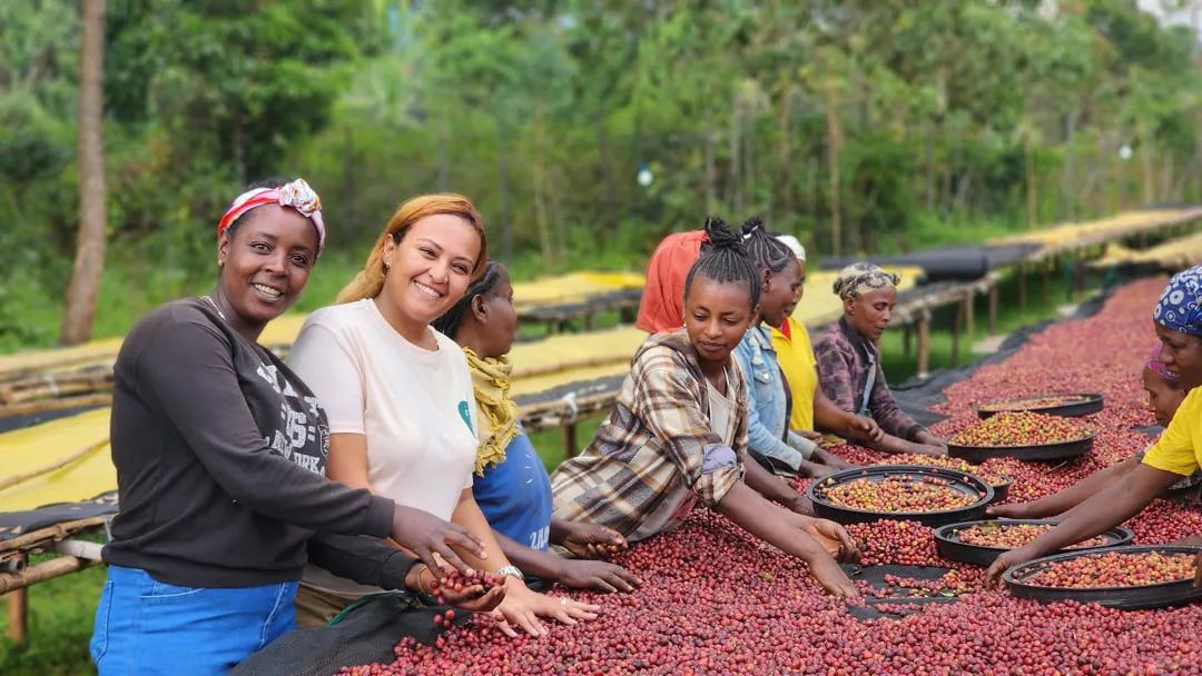 Gofer Coffee team