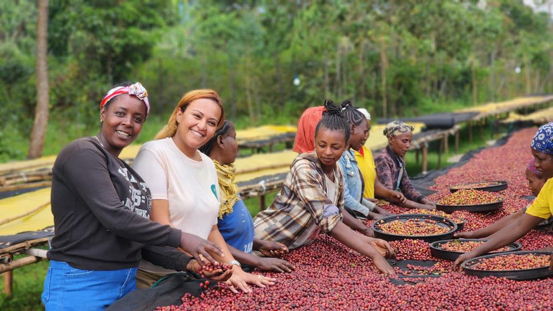 Women in coffee